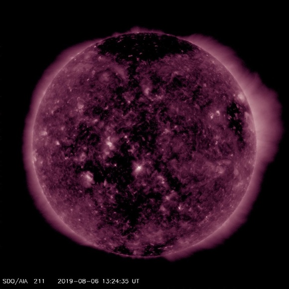 Meet your Posher, Jack - Picture 1 of 1